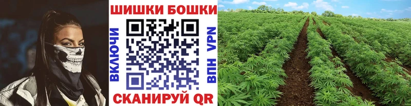 Купить наркотики сайты Салаир ГАШ Бутират Псилоцибиновые грибы Вейп ТГК МЕФ А ПВП Марихуана