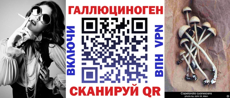 Галлюциногенные грибы Psilocybine cubensis  наркота  Салаир 