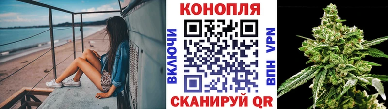 hydra tor  наркота  Салаир  Марихуана индика 